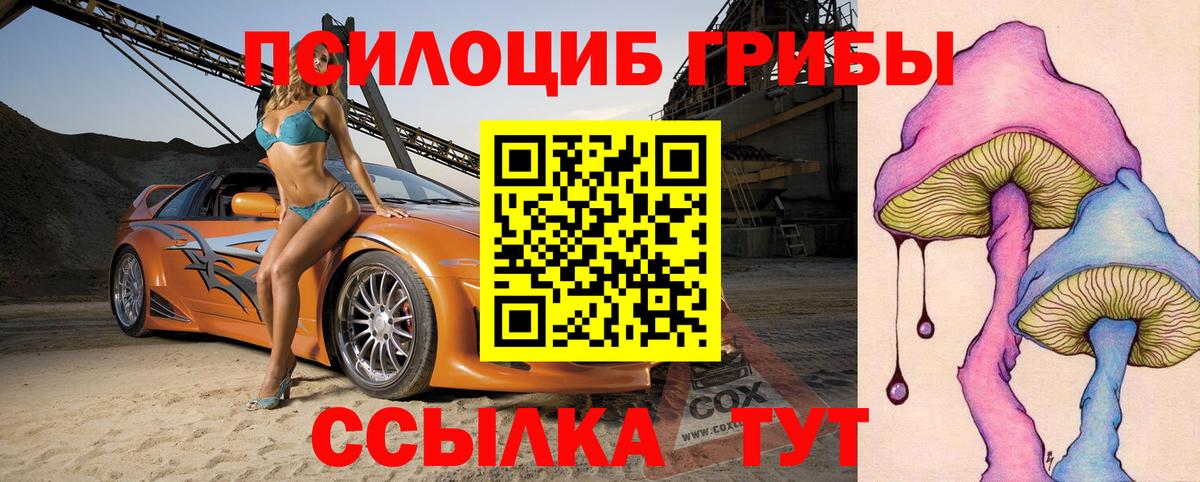 Галлюциногенные грибы мухоморы  Вход с VPN  Камышлов 