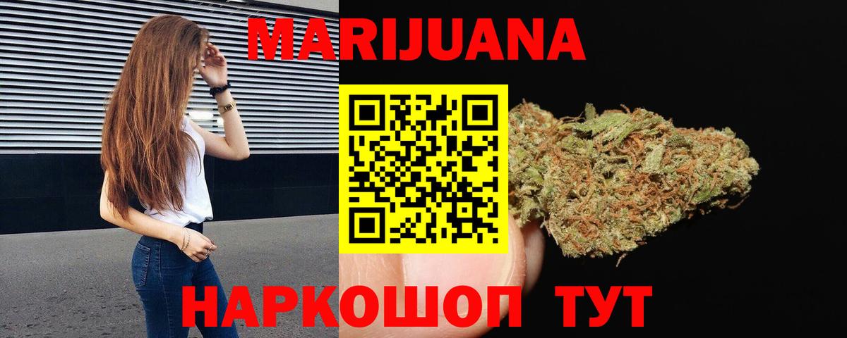 Бошки марихуана план  МАРИХУАНА VHQ  Шишки марихуана VHQ  Камышлов  Вход с VPN 